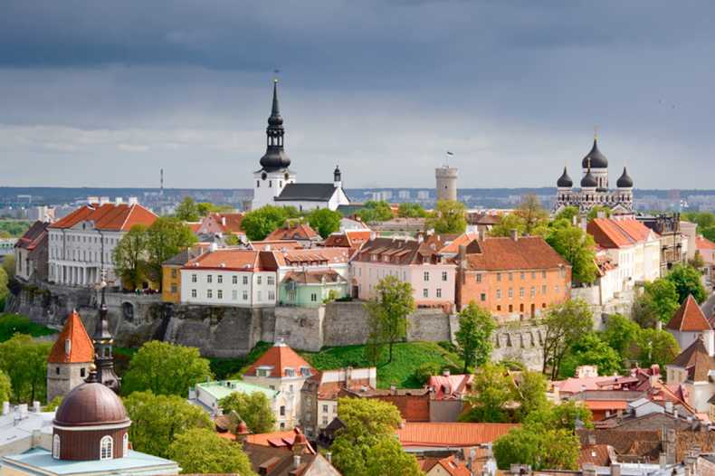 Бизнес иммиграция в Эстонию